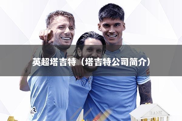 英超塔吉特（塔吉特公司简介）