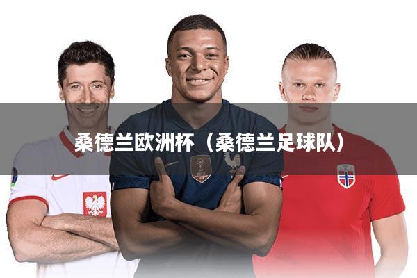 桑德兰欧洲杯(桑德兰足球队)